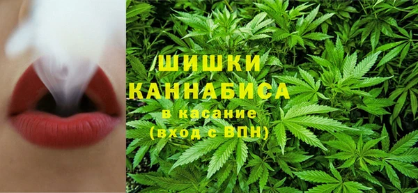 первитин Богородицк